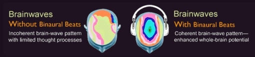 2 brain map images